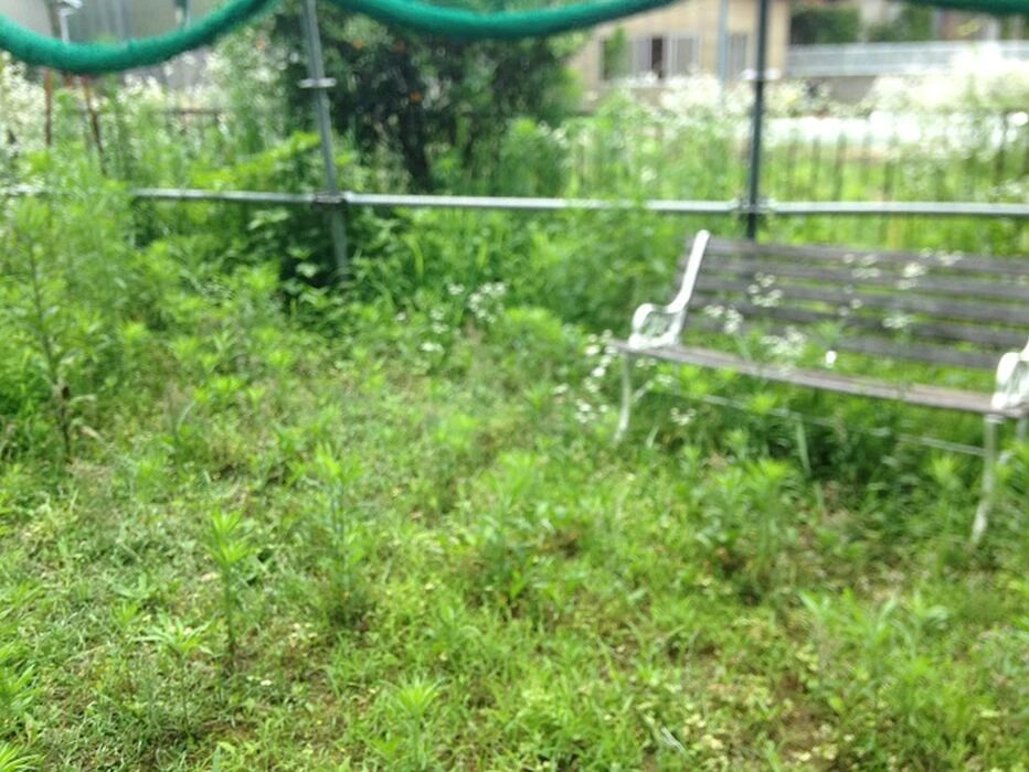 画像1438：名東区N様邸