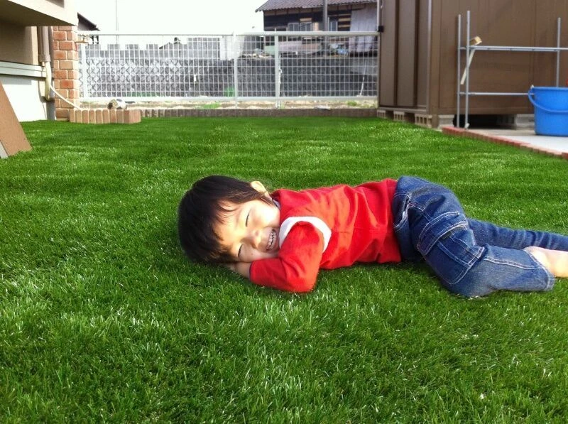 shintou